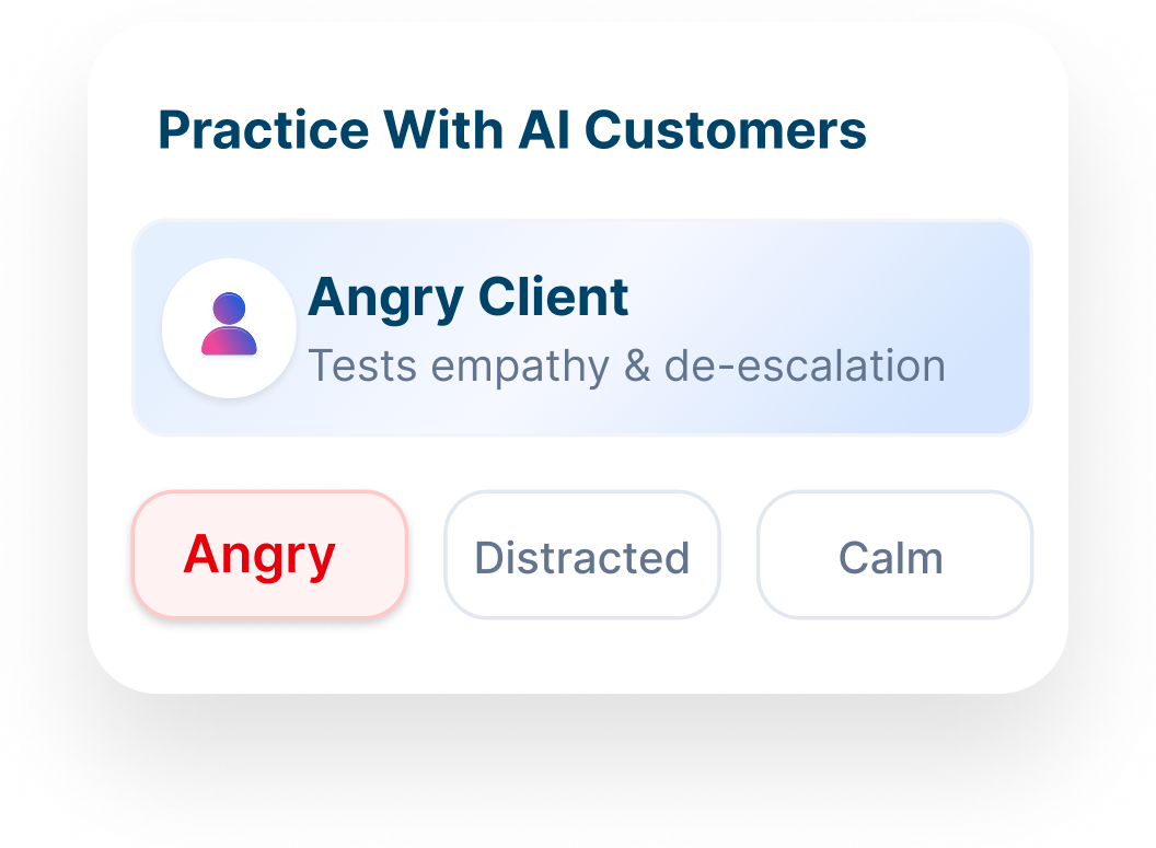 Practice With AI Customers